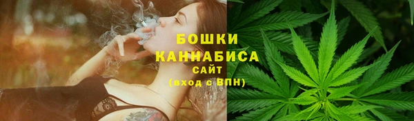 кокс Белокуриха