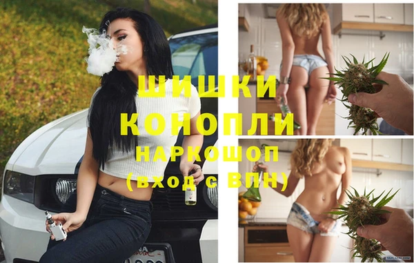кокс Белокуриха